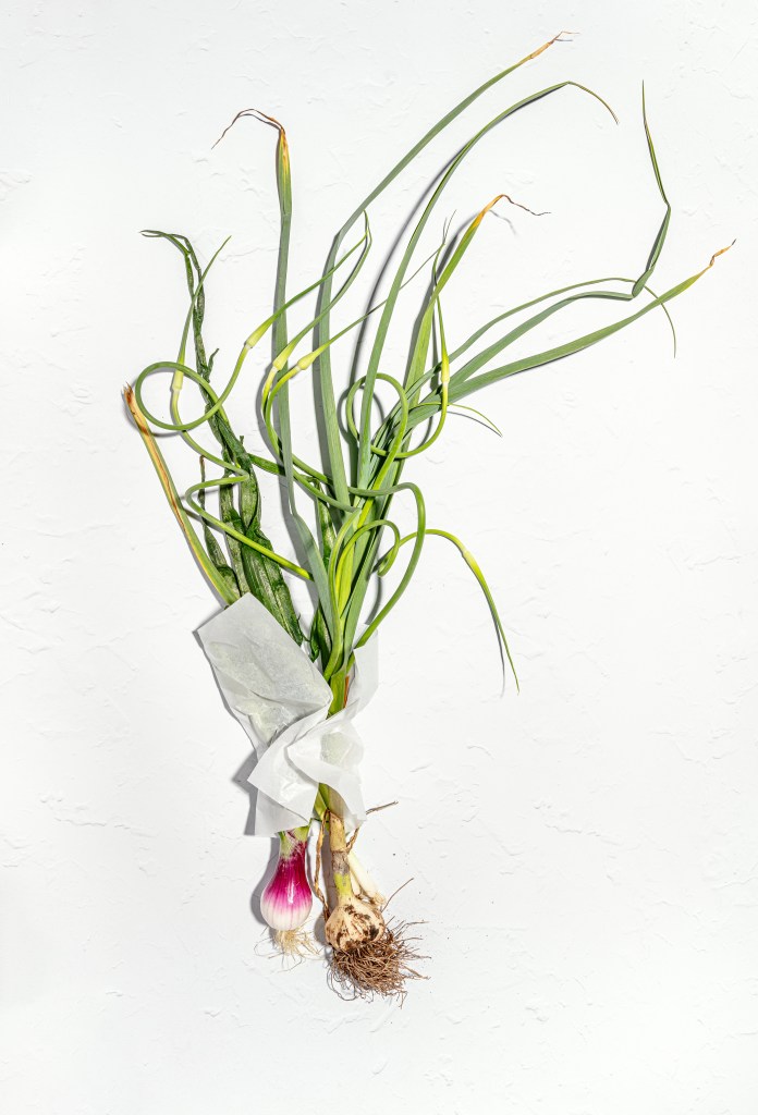 garlic, red onion, and garlic scapes bunched in parchment paper